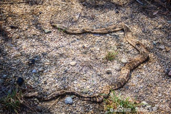 实纪 | 纪念2020即将远去的背影——成昆铁路金沙江段合辑-18.jpg